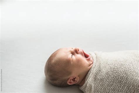 Profile Of Baby Yawning By Stocksy Contributor Alison Winterroth