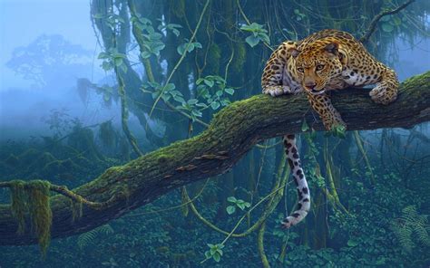 Nature Trees Jungle Animals Leopards Wallpapers Hd