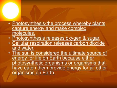 Ppt Photosynthesis Powerpoint Presentation Free Download Id 9526110