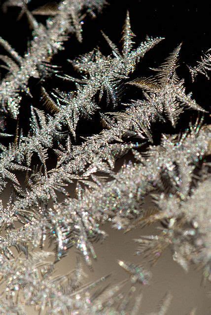 Ice Crystals Macro Photography Ice Crystals Snow Covered Trees