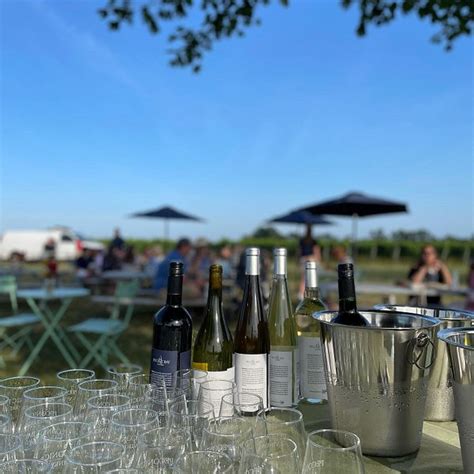Pugliese Vineyards Cutchogue All You Need To Know Before You Go