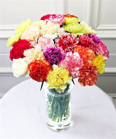 With the online florist, may flower, you can send flowers online to your date's workplace or residence to express your pleasure at the date you had the night before. Mixed Carnations sent by first class post UK - Guernsey ...