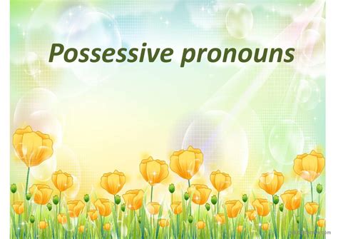 Possessive Pronouns General Reading English Esl Powerpoints Hot Sex My XXX Hot Girl