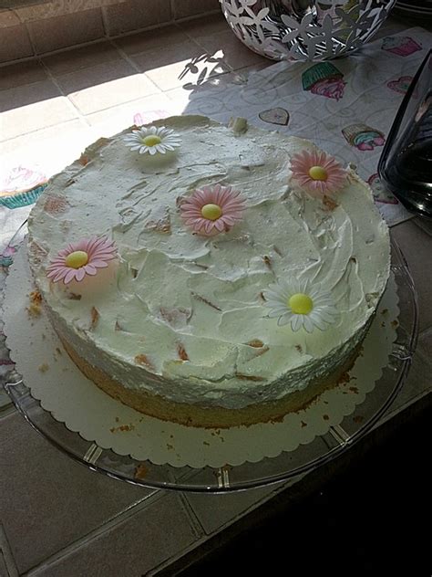 Maybe you would like to learn more about one of these? Pfirsich-Schmand-Kuchen von ManuGro | Chefkoch