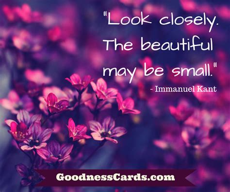 Look Closely The Beautiful May Be Small Immanuel Kant