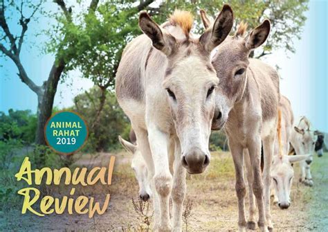 Take A Look At Animal Rahats 2019 Annual Review Animal Rahat