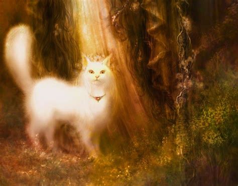 A Fantasy Writers Blog Fantasy Cats Magic Cat Fantasy Writer