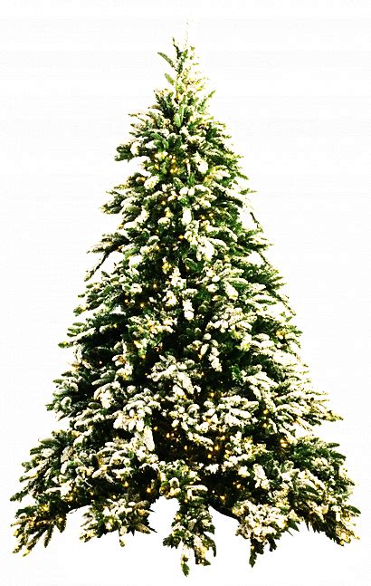 Download christmas decorated tree png transparent image dimensions : Christmas Tree PNG by dbszabo1 on DeviantArt