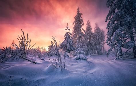 Nature Landscape Forest Sunset Cottage Winter Snow Trees Cold Clouds