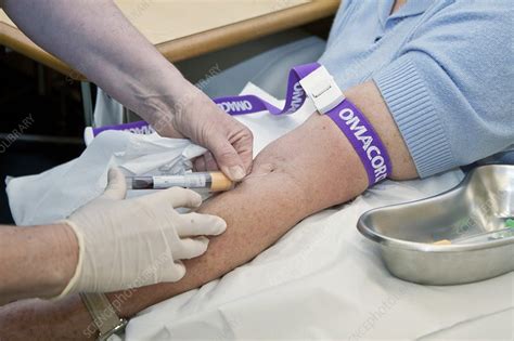 Taking A Blood Sample Stock Image C0135170 Science Photo Library