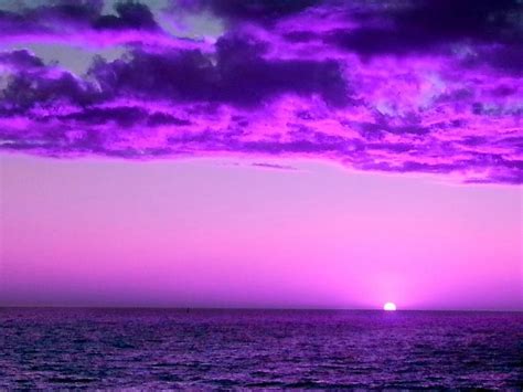 Purple Sunset By Steed Edwards In 2022 Purple Sunset Purple Flowers