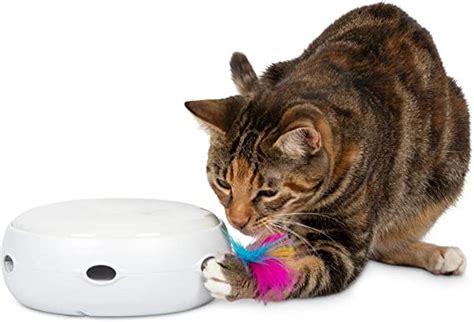 Top 10 Best Cat Toys For Bored Cats T Them A Purr Fect Toy