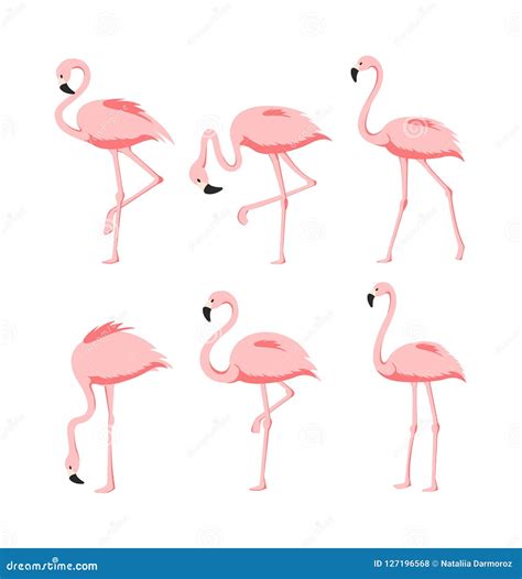 Vector Illustration Set Of Beautiful Elegant Pink Flamingos In