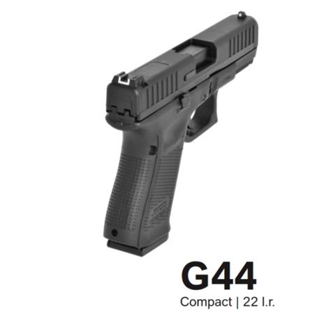 Glock 44 22lr With 2 10 Round Mags Buy Online Usacanada
