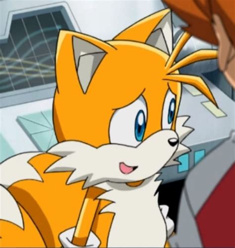 Tails Sonic X Fox Painting Sonic Funny Sonic