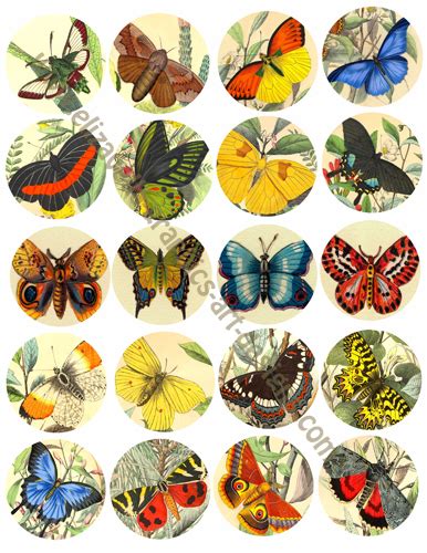 Printable Vintage Butterfly Moths Bug Insects Entomology 2 Inch Circles