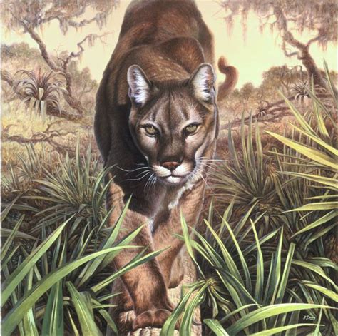 Find & download free graphic resources for animals. Hans Droog Artwork: Florida Panther | Original Painting ...
