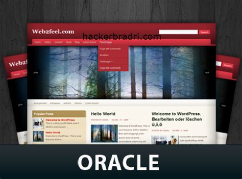 Get 6 hacker wordpress themes on themeforest. Oracle WordPress Theme Free Download full | HaCkEr BrAdRi