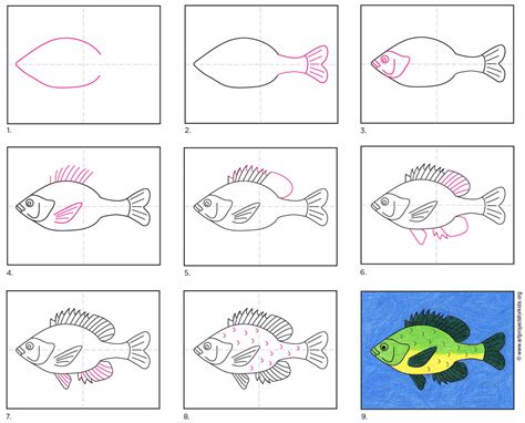 Draw circles for the eyes. How to Draw a Fish · Art Projects for Kids