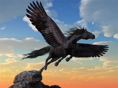 Black Pegasus Stock Vector Illustration Of Fairytale 35592086