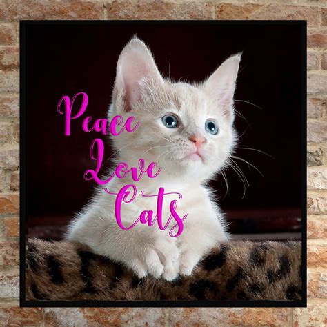 Peace Love Cats Quote Art Printable Cute Kitten Wall Etsy