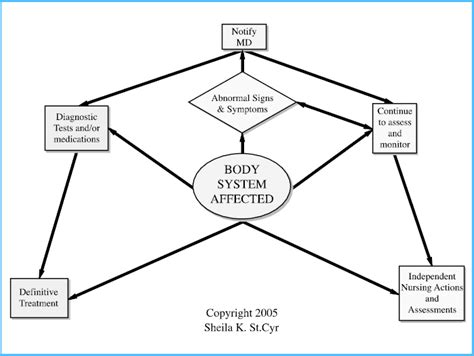 Body System Concept Map Download Scientific Diagram