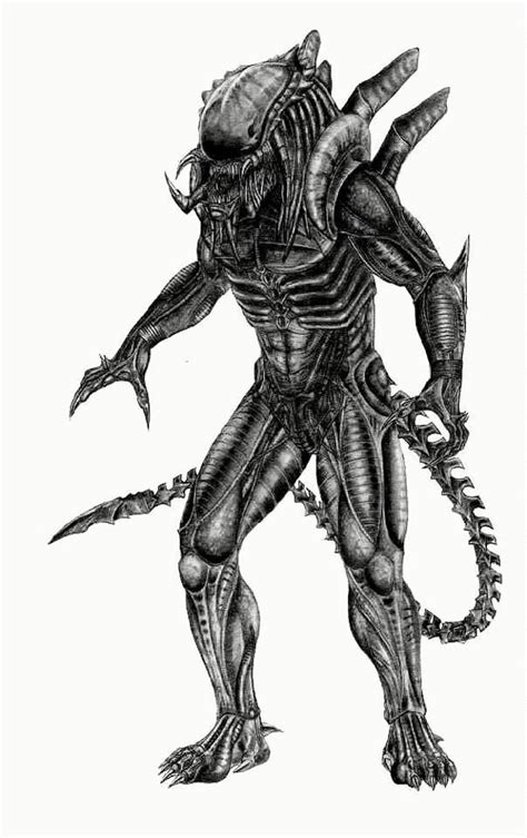 Predalien By Gyerek95 Alien Vs Predator Predator Alien Alien Art