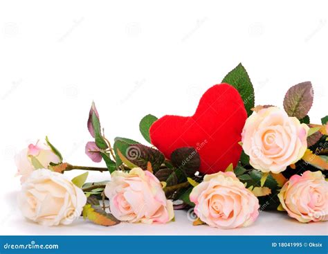 Pink Roses Isolated Stock Image Image Of Isolated Leaf 18041995