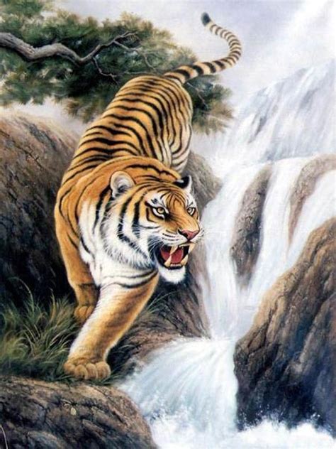 Chia sẻ 100 hình về hình nền con hổ đẹp nhất mới nhất 2023 iedunet