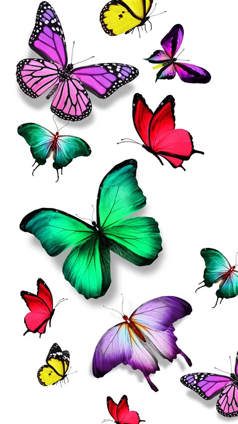 Download Colorful Butterfly Wallpaper Gallery
