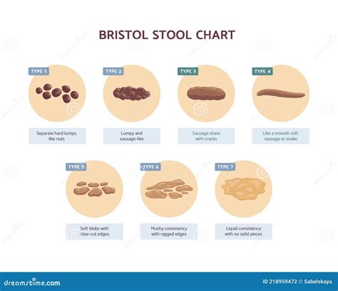 Bristol Stool Chart With Medicine Description Of Human Excrements