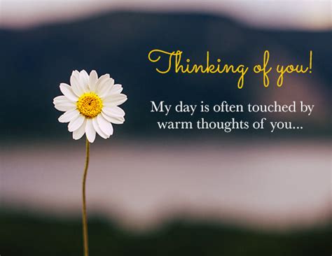 Thinking Of You Caring About You Free Thinking Of You Ecards 123
