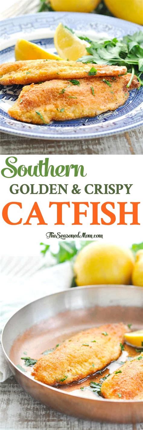 Catfish is a strong and powerful fish, but also a popular eat and satisfying catch. Crispy Southern Fried Catfish - The Seasoned Mom