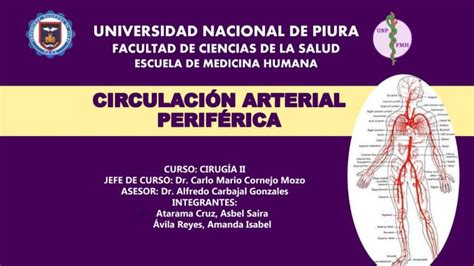 CirculaciÓn Arterial PerifÉrica Clase Ivpptx