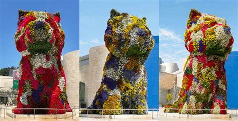 Campaign To Save Iconic Puppy Sculpture At Guggenheim Bilbao Spain In