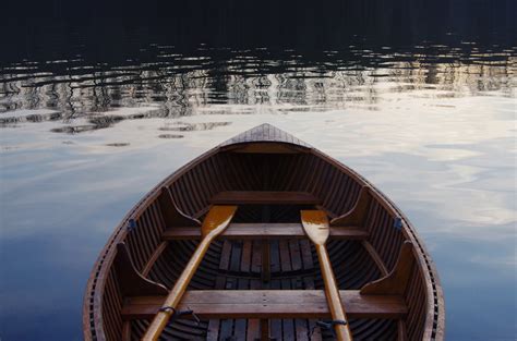 Larger ones are easier to spiralize, but smaller ones are usually firmer after spiralizing spread them out on a roasting pan and place them in the oven for about 15 minutes. Free Images : sea, water, nature, winter, dock, sky, sport ...