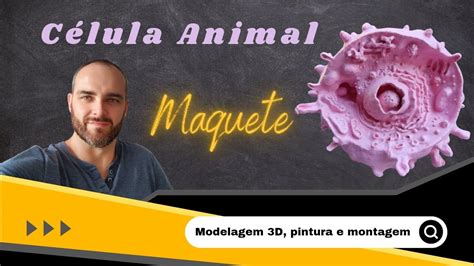 Maquete Célula Animal Youtube