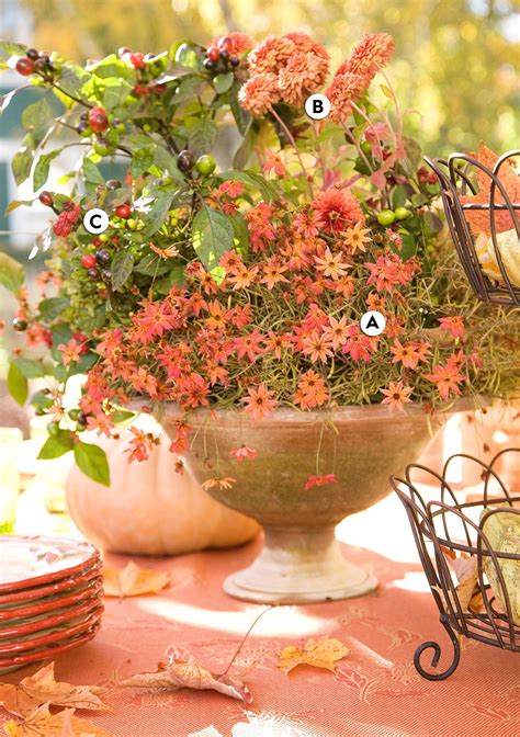 33 Gorgeous Fall Container Garden Ideas To Try Right Now Fall