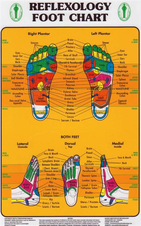 Foot Reflexology Chart Pacific Institute — Massage Therapy Supply