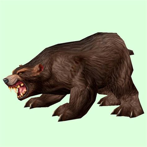 Dark Brown Bear Pet Look Petopia Hunter Pets In The World Of Warcraft