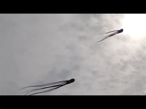 05 hrs 00 mins the time difference between g.m.t and kuala lumpur is. SUMMER TIME IN TAIWAN - YouTube