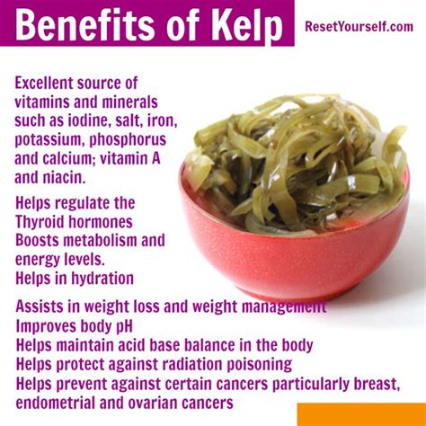 Health Benefits Of Kelp Ep Medical Equipment Pharmacy Health And