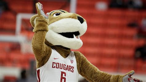 Mascot Mania How The Cougars Became The Cougars