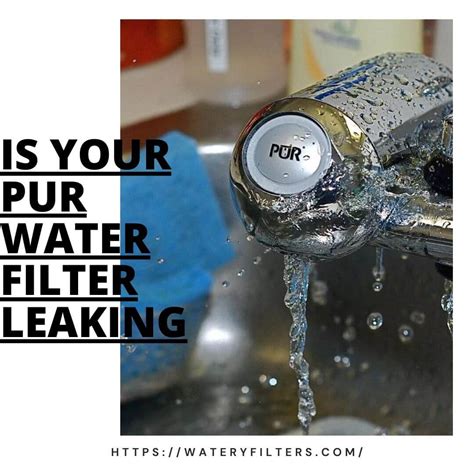 Is Your Pur Water Filter Leaking 5 Common Reasons