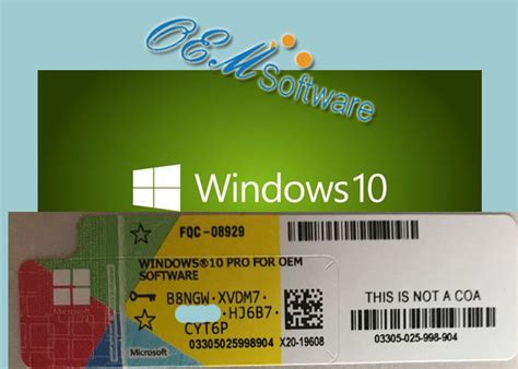 Fast Delivery Windows 10 Professional License Key Online Activation