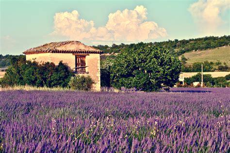 Episode 24 A Canadian Expat in Provence – Canadians Away!