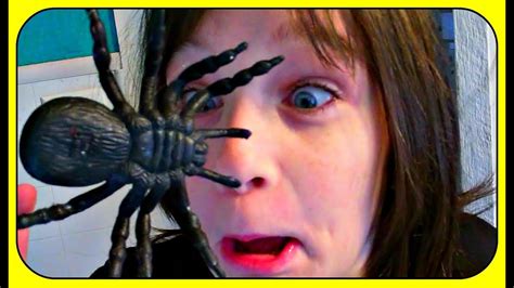 spider scare youtube