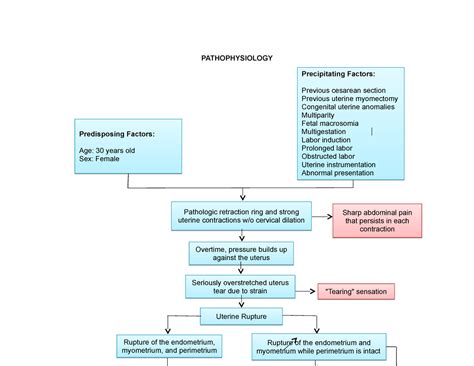 Pathophysiology On Uterine Rupture Leading To Early Postpartum