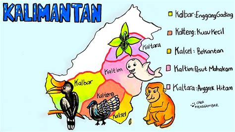 Cara Menggambar Membuat Peta Persebaran Flora Dan Fauna Langka Di