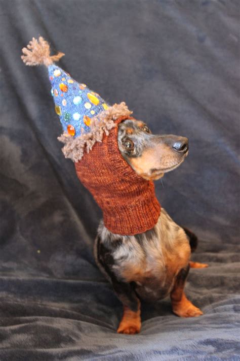 Knitted Birthday Dog Hat Dog Birthday Hat Knitting Dog Hat